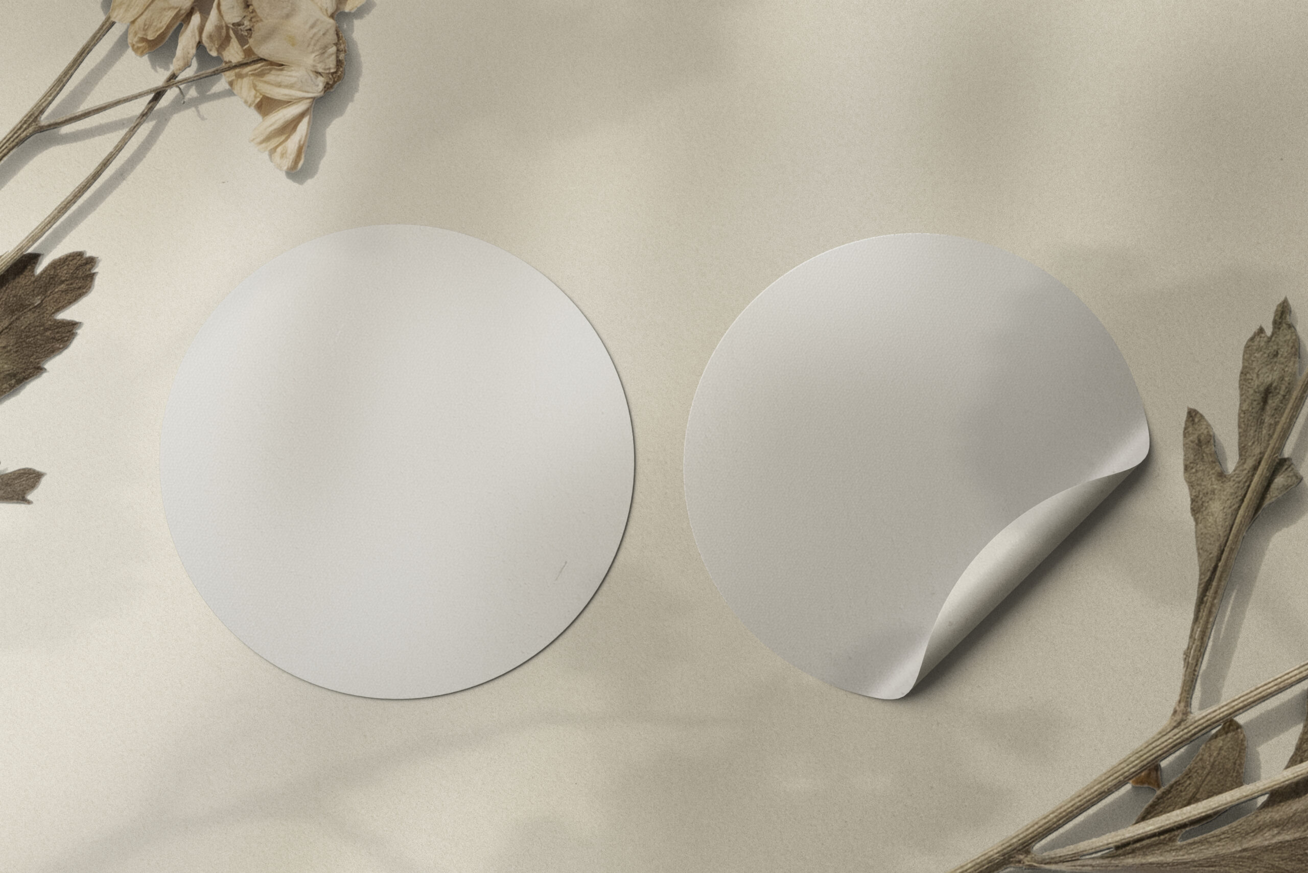 circle-sticker-branding